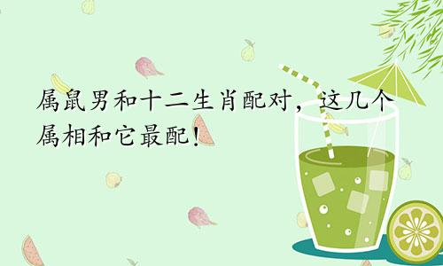 属鼠男和十二生肖配对，这几个属相和它最配！