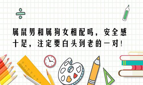 属鼠男和属狗女相配吗，安全感十足，注定要白头到老的一对！