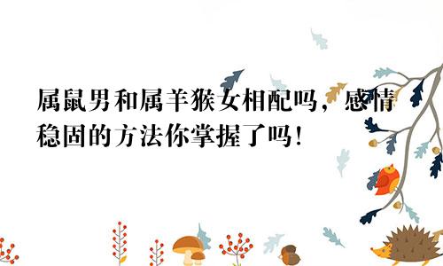 属鼠男和属羊猴女相配吗，感情稳固的方法你掌握了吗！