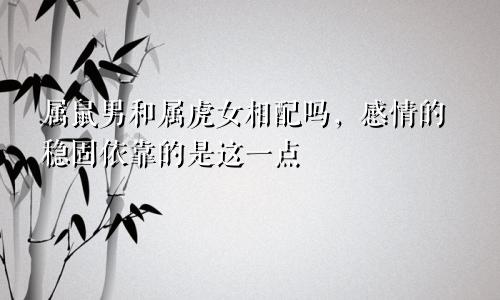 属鼠男和属虎女相配吗，感情的稳固依靠的是这一点