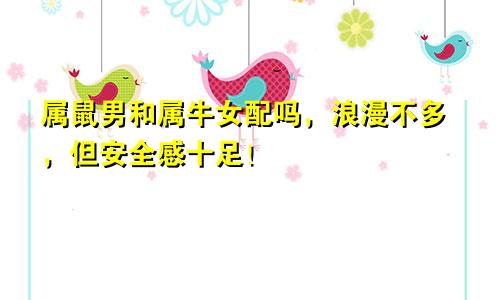 属鼠男和属牛女配吗，浪漫不多，但安全感十足！