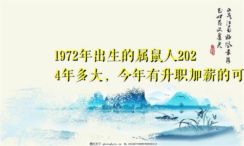 1972年出生的属鼠人2024年多大，今年有升职加薪的可能吗？