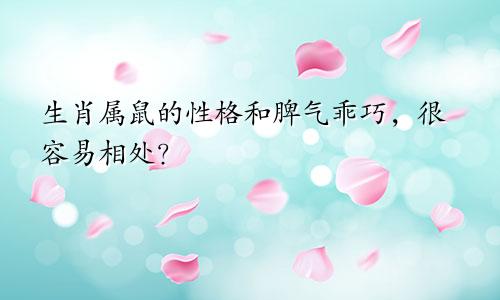 生肖属鼠的性格和脾气乖巧，很容易相处？