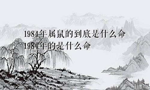 1984年属鼠的到底是什么命1984年的是什么命
