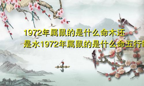 1972年属鼠的是什么命木还是水1972年属鼠的是什么命五行缺什么