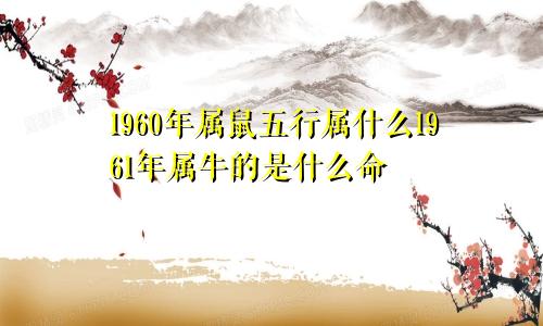 1960年属鼠五行属什么1961年属牛的是什么命