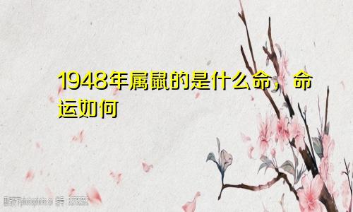 1948年属鼠的是什么命，命运如何
