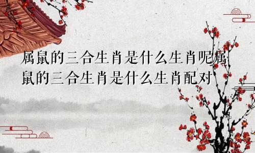 属鼠的三合生肖是什么生肖呢属鼠的三合生肖是什么生肖配对