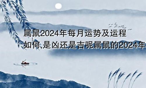 属鼠2024年每月运势及运程如何,是凶还是吉呢属鼠的2024年每月运势及运程