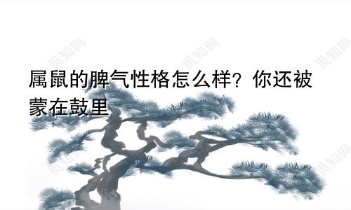 属鼠的脾气性格怎么样？你还被蒙在鼓里