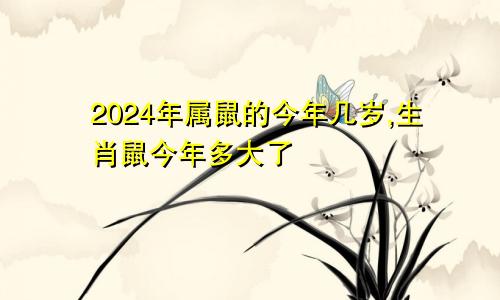 2024年属鼠的今年几岁,生肖鼠今年多大了