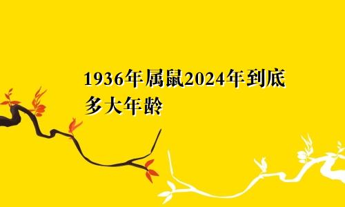 1936年属鼠2024年到底多大年龄