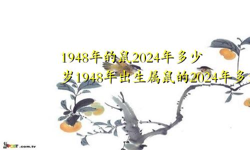 1948年的鼠2024年多少岁1948年出生属鼠的2024年多大