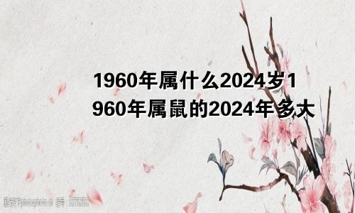 1960年属什么2024岁1960年属鼠的2024年多大