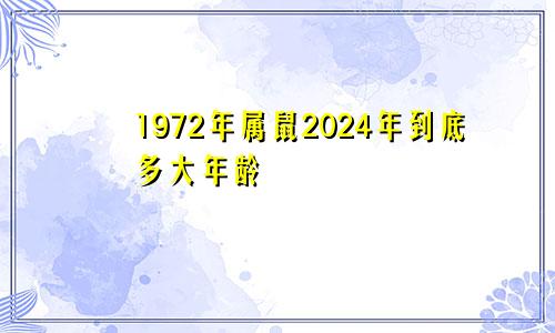 1972年属鼠2024年到底多大年龄