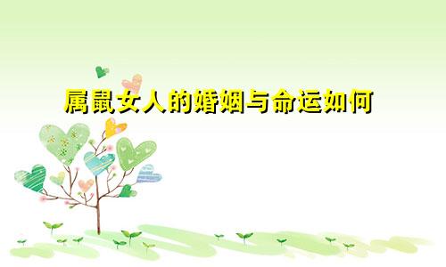 属鼠女人的婚姻与命运如何