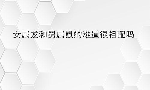 女属龙和男属鼠的难道很相配吗