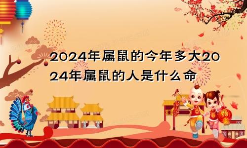 2024年属鼠的今年多大2024年属鼠的人是什么命