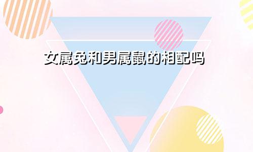 女属兔和男属鼠的相配吗