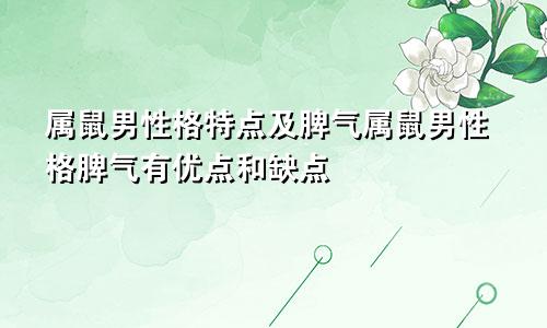 属鼠男性格特点及脾气属鼠男性格脾气有优点和缺点
