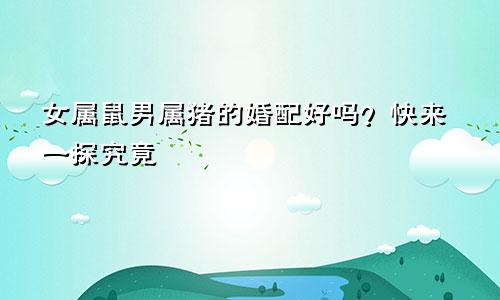 女属鼠男属猪的婚配好吗？快来一探究竟