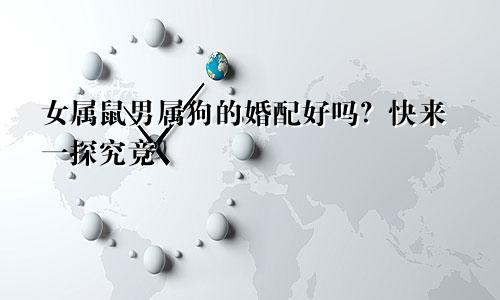 女属鼠男属狗的婚配好吗？快来一探究竟