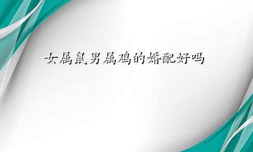 女属鼠男属鸡的婚配好吗