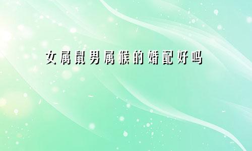 女属鼠男属猴的婚配好吗