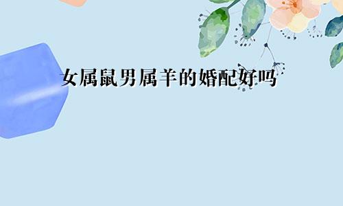 女属鼠男属羊的婚配好吗