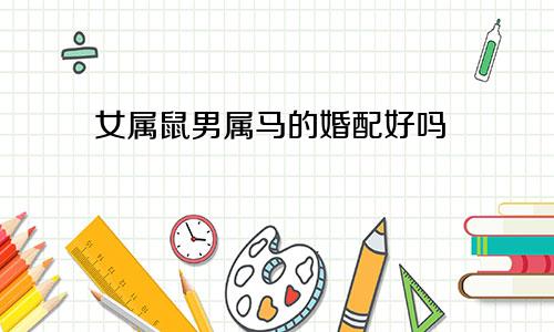 女属鼠男属马的婚配好吗