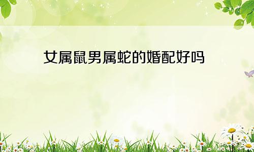 女属鼠男属蛇的婚配好吗