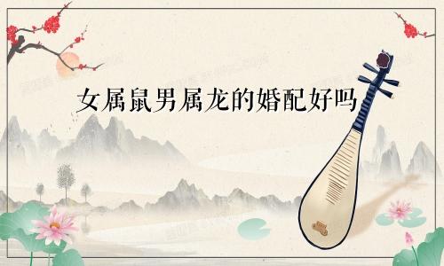 女属鼠男属龙的婚配好吗