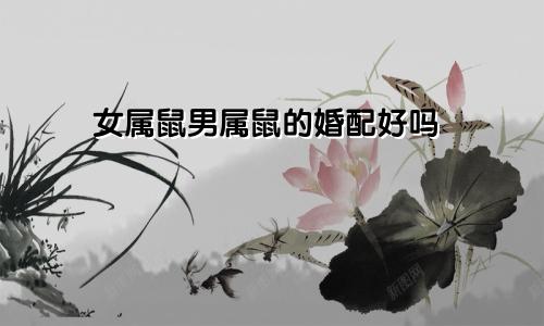 女属鼠男属鼠的婚配好吗
