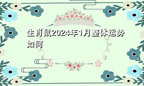 生肖鼠2024年1月整体运势如何