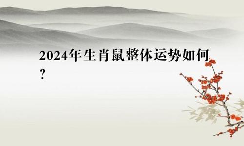 2024年生肖鼠整体运势如何？