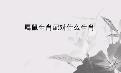 属鼠生肖配对什么生肖