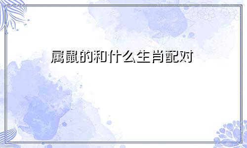 属鼠的和什么生肖配对