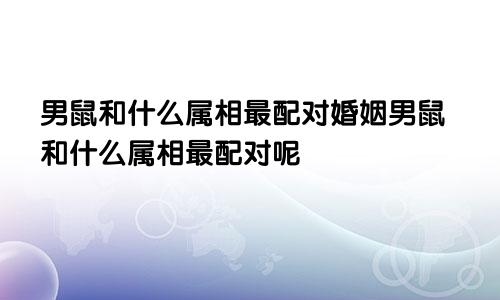 男鼠和什么属相最配对婚姻男鼠和什么属相最配对呢