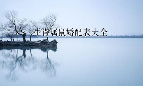 生肖属鼠婚配表大全