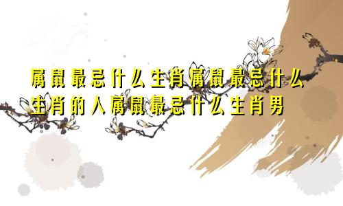 属鼠最忌什么生肖属鼠最忌什么生肖的人属鼠最忌什么生肖男