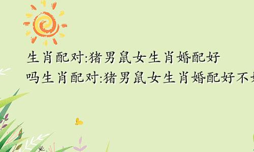 生肖配对:猪男鼠女生肖婚配好吗生肖配对:猪男鼠女生肖婚配好不好
