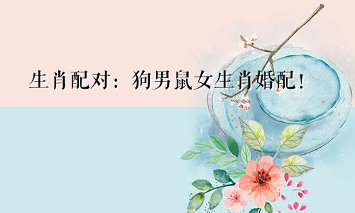 生肖配对：狗男鼠女生肖婚配！
