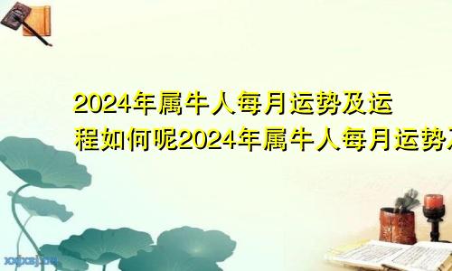2024年属牛人每月运势及运程如何呢2024年属牛人每月运势及运程如何看