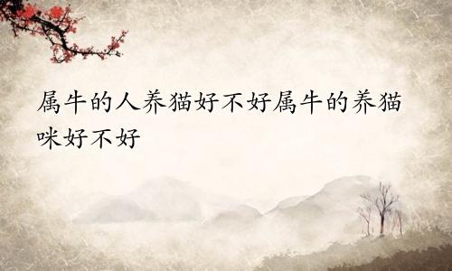 属牛的人养猫好不好属牛的养猫咪好不好