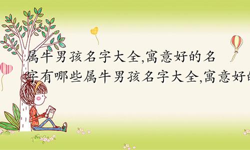 属牛男孩名字大全,寓意好的名字有哪些属牛男孩名字大全,寓意好的名字两个字