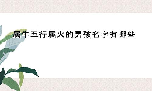 属牛五行属火的男孩名字有哪些