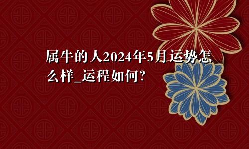 属牛的人2024年5月运势怎么样_运程如何？