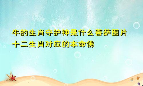 牛的生肖守护神是什么菩萨图片十二生肖对应的本命佛