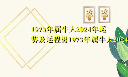 1973年属牛人2024年运势及运程男1973年属牛人2024年运势及运程每月运程