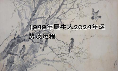 1949年属牛人2024年运势及运程